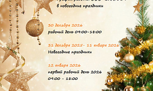 График работы ВИЛМАРТ в новогодние праздники 2026 График работы ВИЛМАРТ в новогодние праздники 2026
